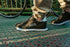 Sneaker Avo Timeless